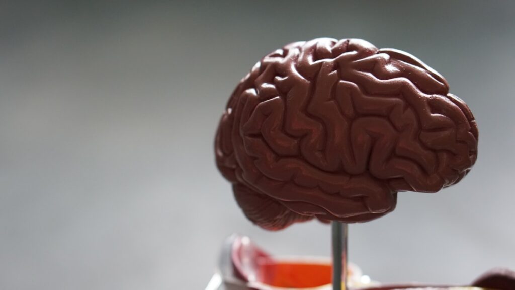 TMS Therapy vs Antidepressants